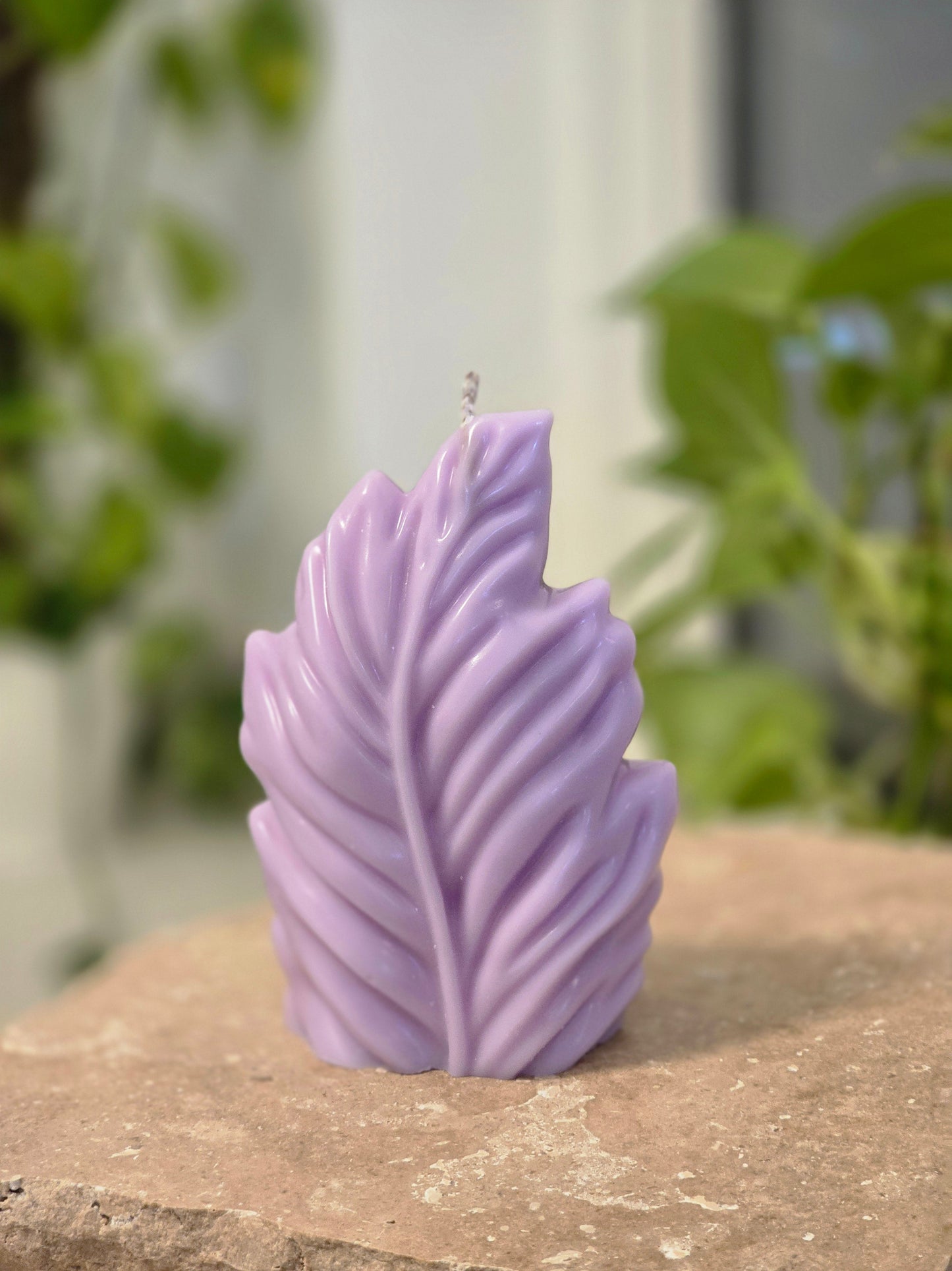 The Leaf Candle