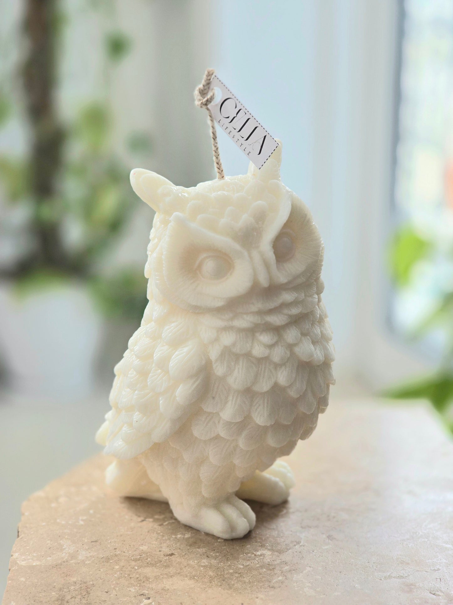Owl Candle